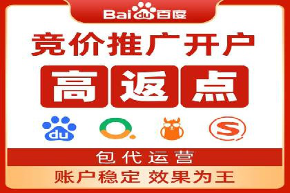 SEM竞价推广案例：打造行业领先的广告投放策略